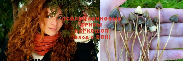 COCAINE Белоозёрский