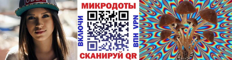mega ONION  где продают наркотики  Юрьев-Польский  Псилоцибиновые грибы мухоморы 